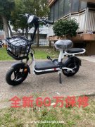 出售全新电动车